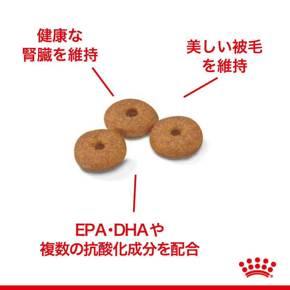 【3.5kg×4袋】ロイヤルカナン SHN ミニ エイジング 12+ 小型犬 高齢犬用 12歳以上 (犬・ドッグ)[正規品]