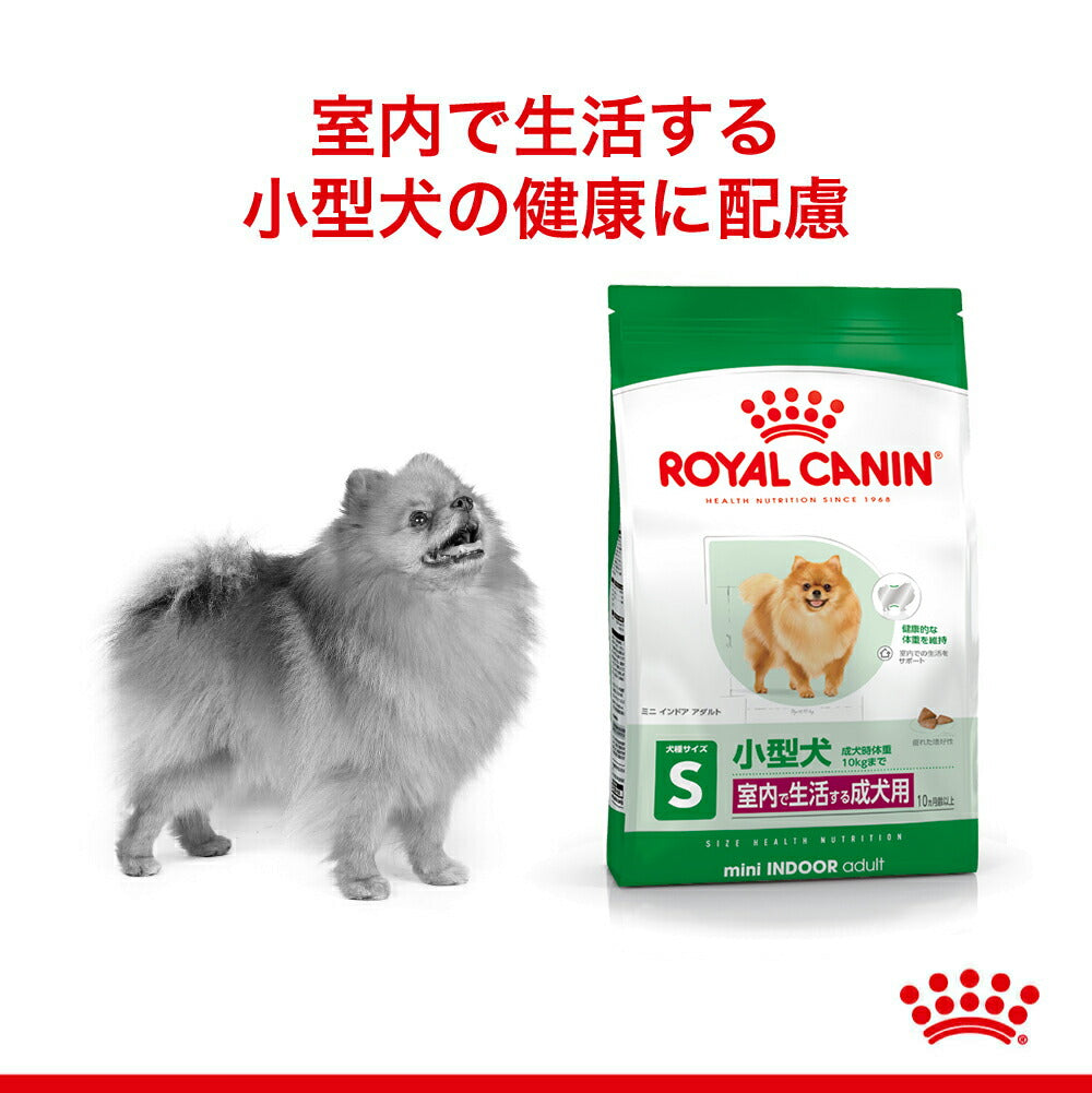 ロイヤルカナン SHN ミニ インドア アダルト 室内で生活する小型犬 成犬用 生後10ヵ月齢以上 8kg (犬・ドッグ)[正規品]