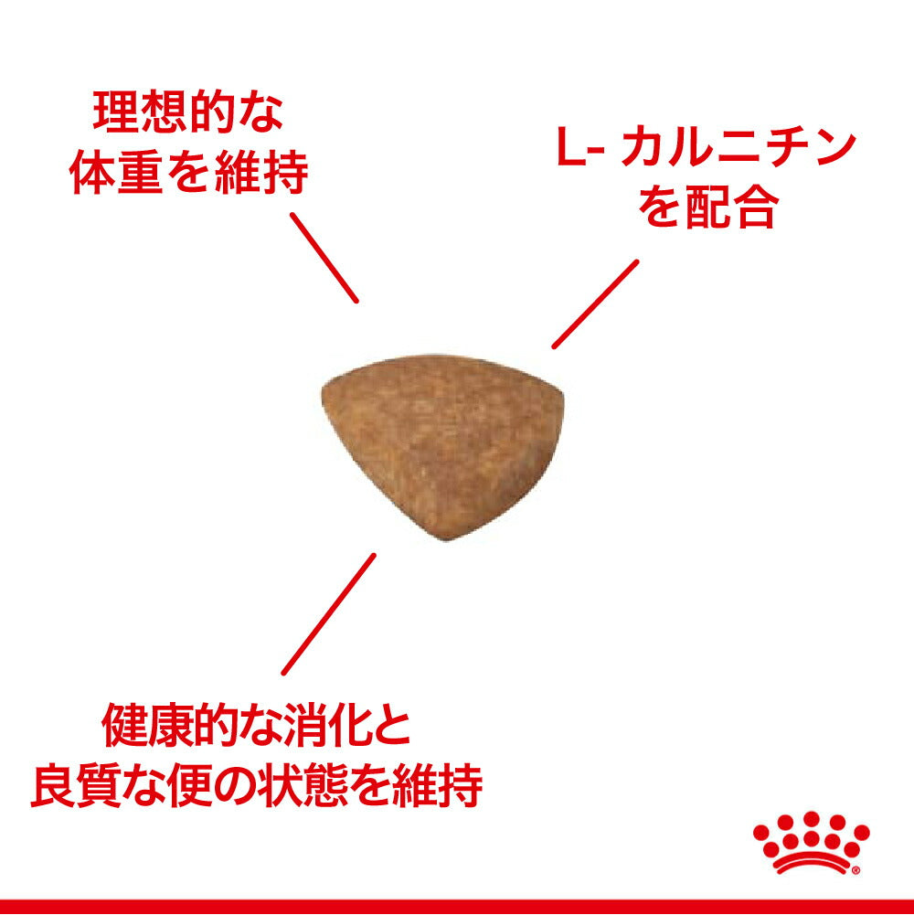 ロイヤルカナン SHN ミニ インドア アダルト 室内で生活する小型犬 成犬用 生後10ヵ月齢以上 800g (犬・ドッグ)[正規品]