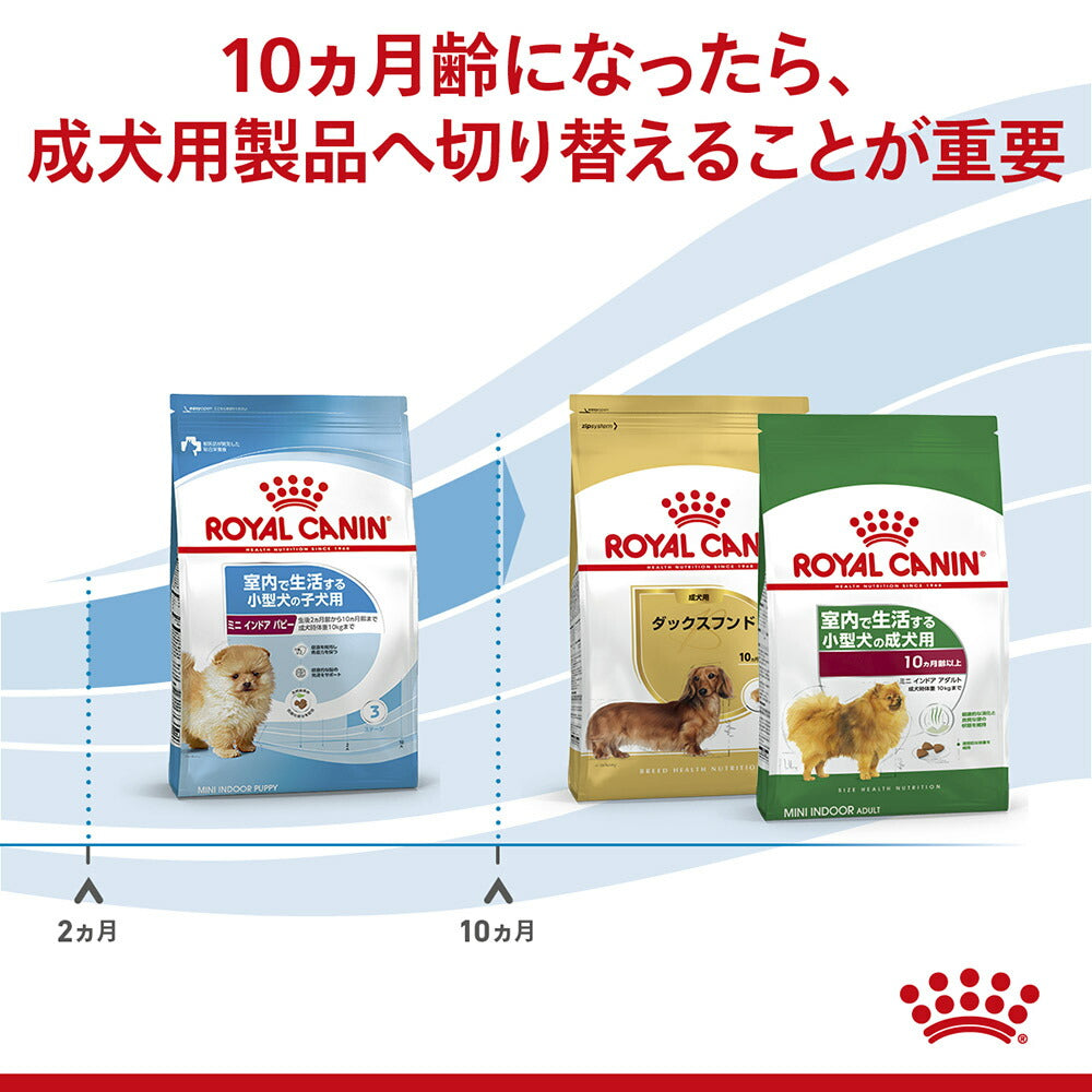 ロイヤルカナン SHN ミニ インドア パピー 室内で生活する小型犬 成長
