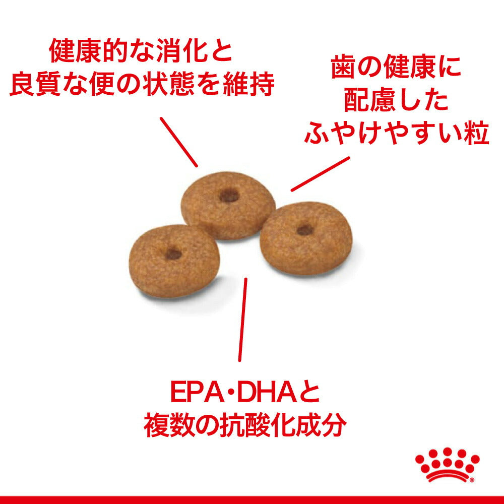 【800g×5袋】ロイヤルカナン SHN ミニ インドア シニア 室内で生活する小型犬 中・高齢犬用 8歳以上 (犬・ドッグ)[正規品]