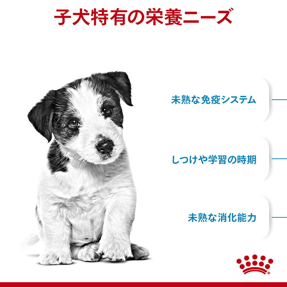 【2kg×2袋】ロイヤルカナン SHN ミニ パピー 小型犬 成長後期の子犬用 生後10ヵ月齢まで (犬・ドッグ)[正規品]