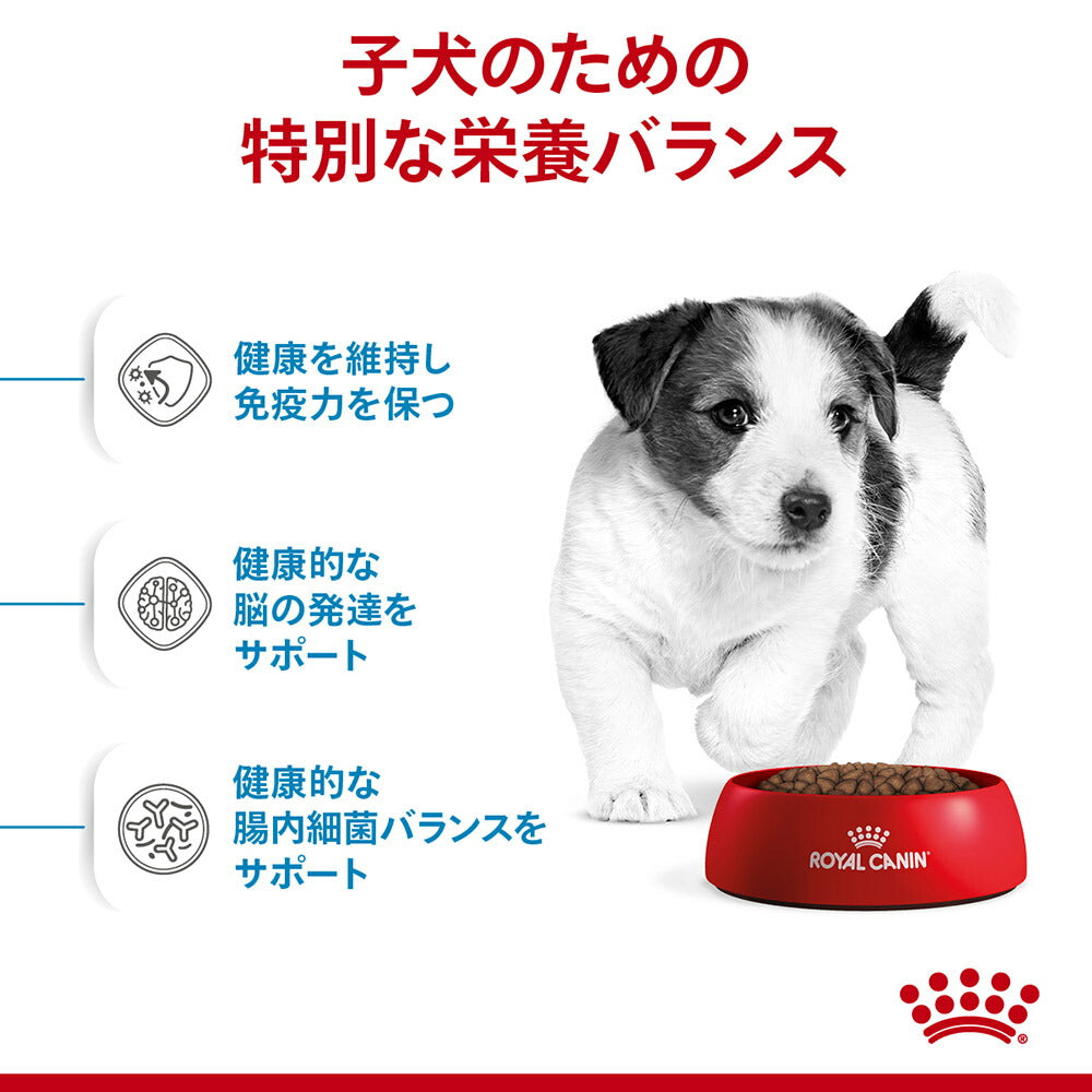 【2kg×2袋】ロイヤルカナン SHN ミニ パピー 小型犬 成長後期の子犬用 生後10ヵ月齢まで (犬・ドッグ)[正規品]
