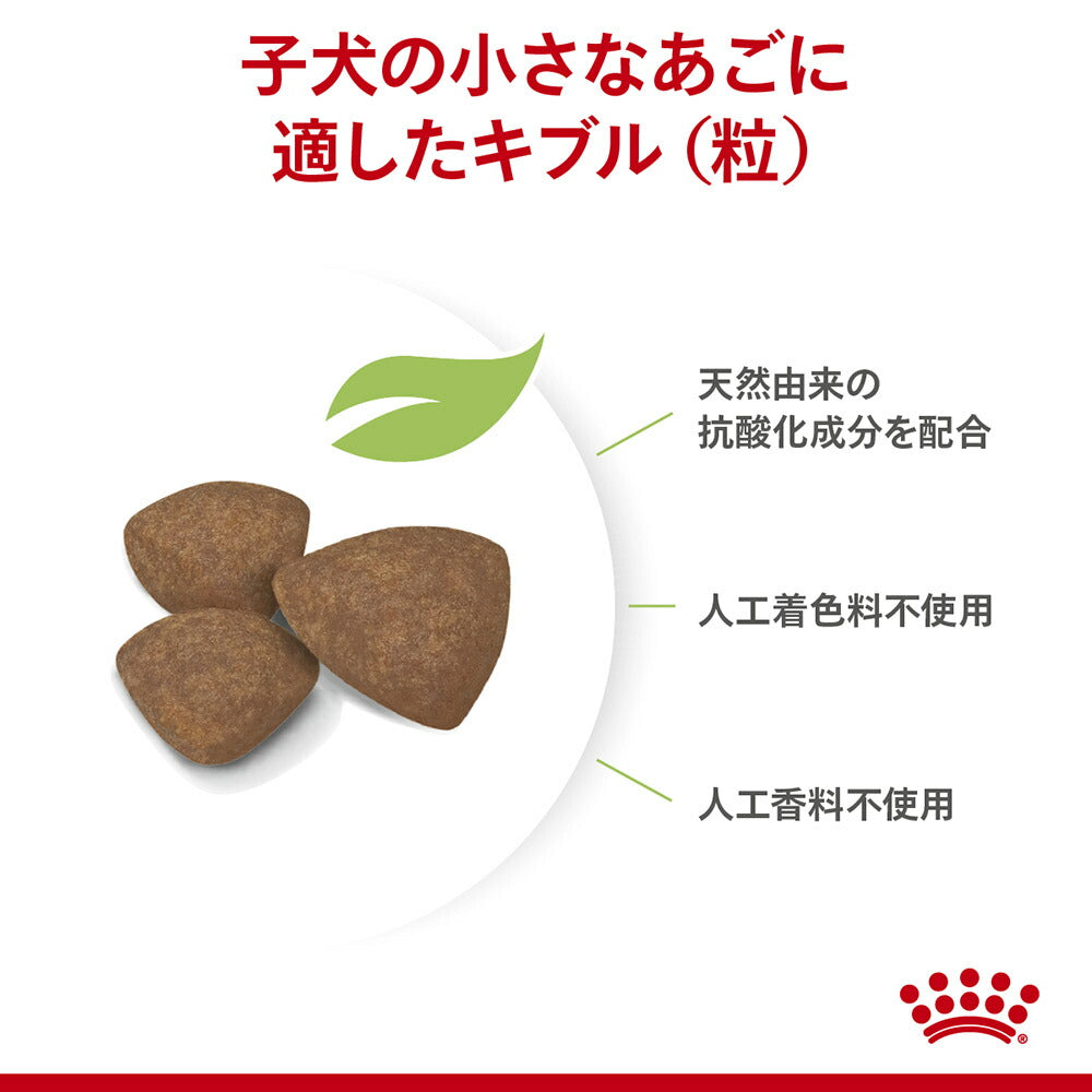 【800g×10袋】ロイヤルカナン SHN ミニ パピー 小型犬 成長後期の子犬用 生後10ヵ月齢まで (犬・ドッグ)[正規品]