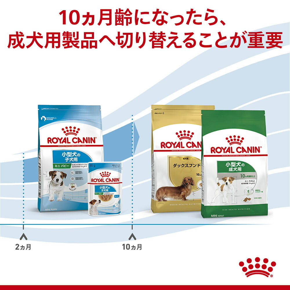 8kg×2袋】ロイヤルカナン SHN ミニ パピー 小型犬 成長後期の子犬用