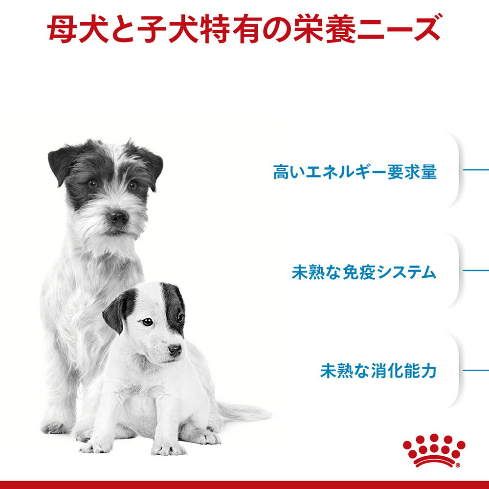 【3kg×3袋】ロイヤルカナン SHN ミニ スターター マザー&ベビードッグ 成長前期の子犬用 生後2ヵ月齢まで 母犬用 (犬・ドッグ)[正規品]