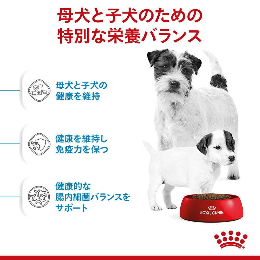 【3kg×2袋】ロイヤルカナン SHN ミニ スターター マザー&ベビードッグ 成長前期の子犬用 生後2ヵ月齢まで 母犬用 (犬・ドッグ)[正規品]