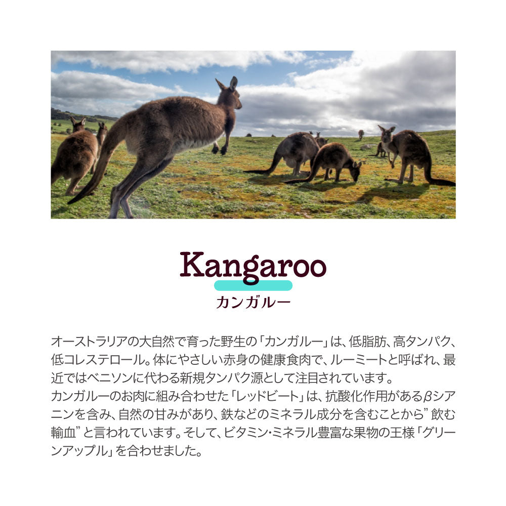 ムーラムーラ Moora Moora トリーツ ドッグ カンガルー フリーズドライ 40g (犬・ドッグ)[正規品]