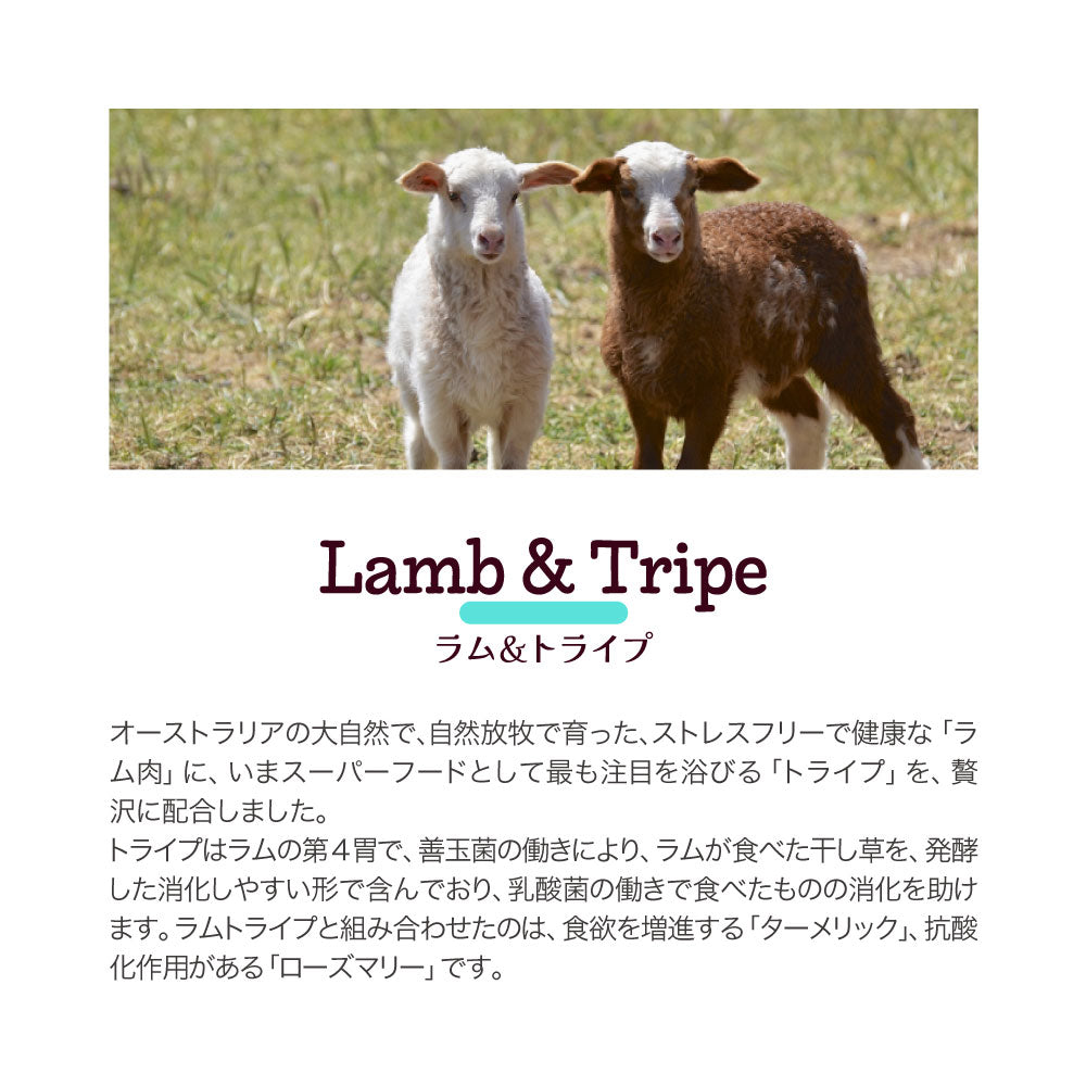 ムーラムーラ Moora Moora トリーツ ドッグ ラム＆トライプ フリーズドライ 40g (犬・ドッグ)[正規品]