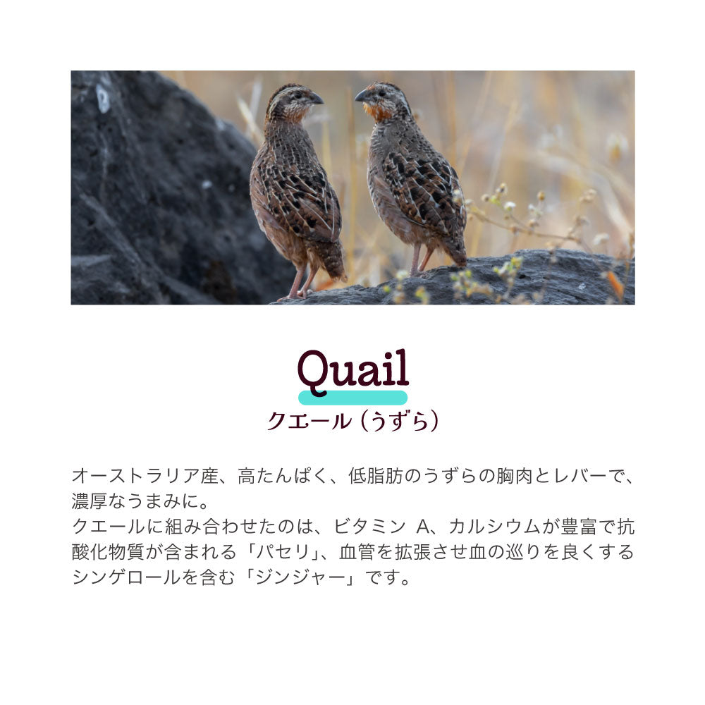 【メール便】ムーラムーラ Moora Moora トリーツ キャット クエール うずら フリーズドライ 20g (猫・キャット)[正規品][M便 1/10]