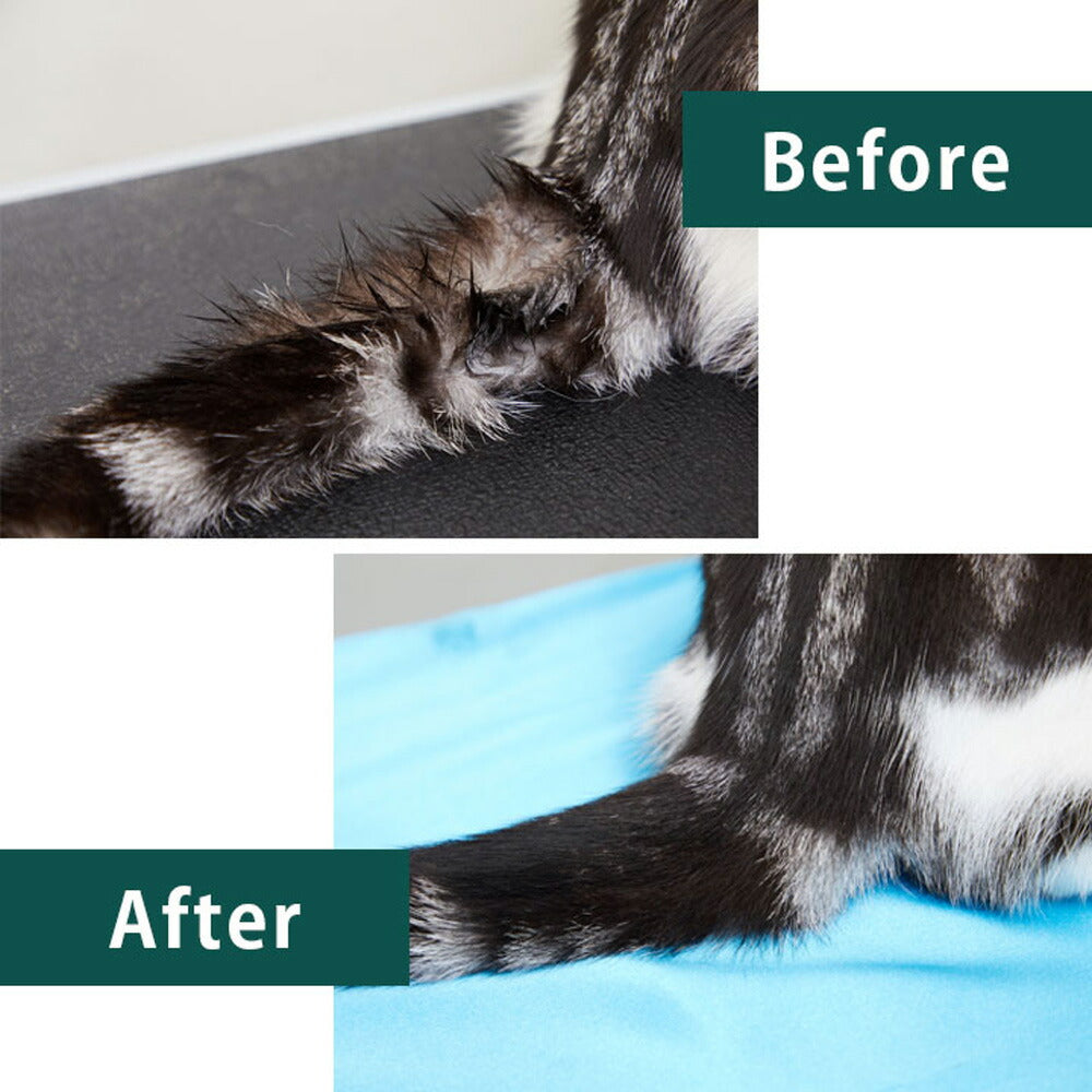 たかくら新産業 APDC 猫用プロフェッショナルモアグロッシィシャンプー 2L (猫・キャット)