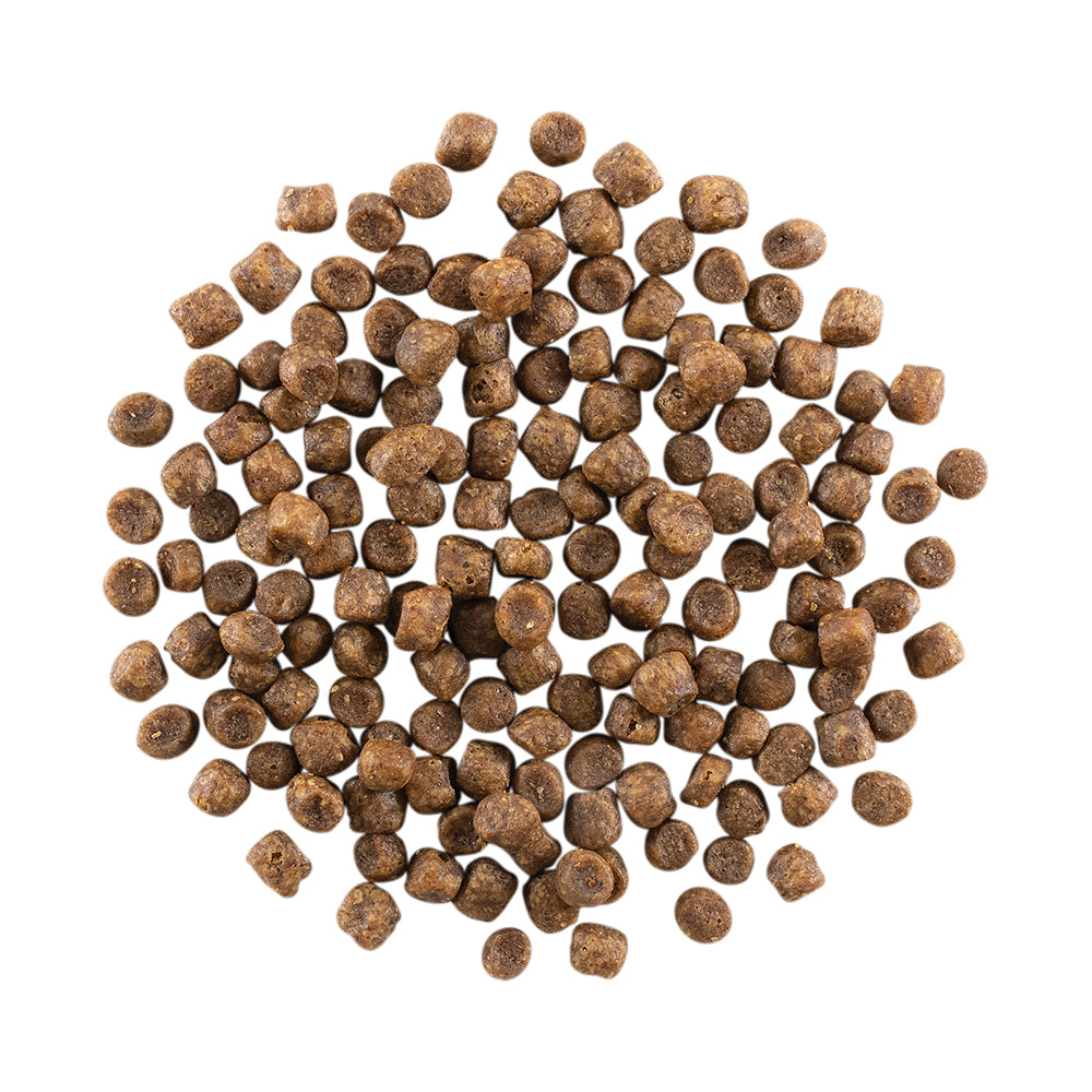 ナウフレッシュ グレインフリー アダルトキャット 成猫用 7.25kg (猫・キャット)[正規品] NOW FRESH
