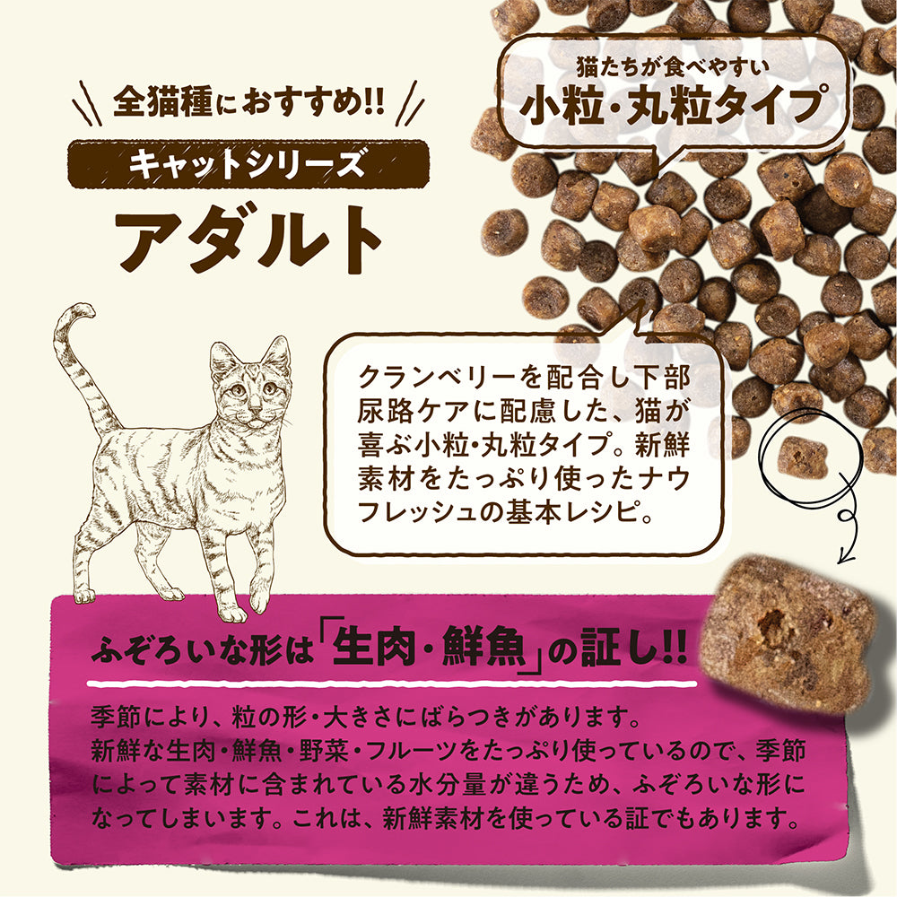ナウフレッシュ グレインフリー アダルトキャット 成猫用 350g (猫・キャット)[正規品] NOW FRESH