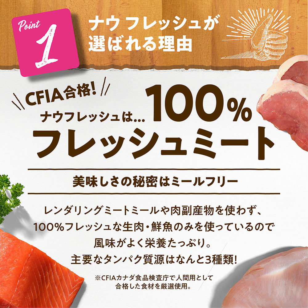 ナウフレッシュ グレインフリー アダルトキャット 成猫用 7.25kg (猫・キャット)[正規品] NOW FRESH
