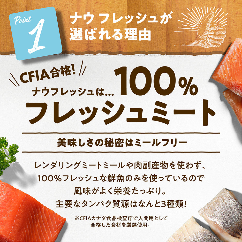 ナウフレッシュ グレインフリー フィッシュアダルトキャット 成猫用 7.25kg (猫・キャット)[正規品] NOW FRESH