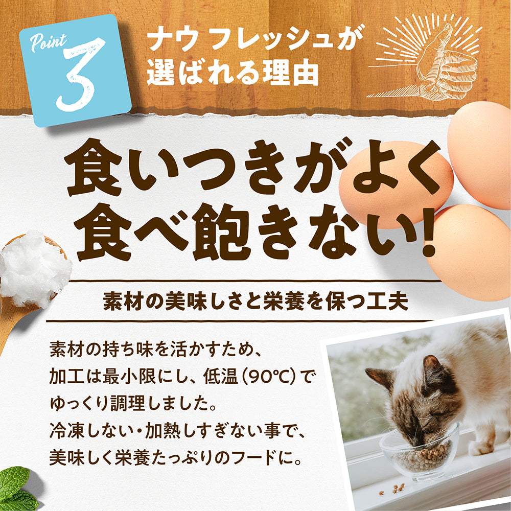 ナウフレッシュ グレインフリー フィッシュアダルトキャット 成猫用 7.25kg (猫・キャット)[正規品] NOW FRESH