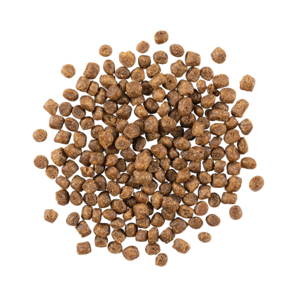 ナウフレッシュ グレインフリー キトン 子猫用 350g (猫・キャット)[正規品] NOW FRESH