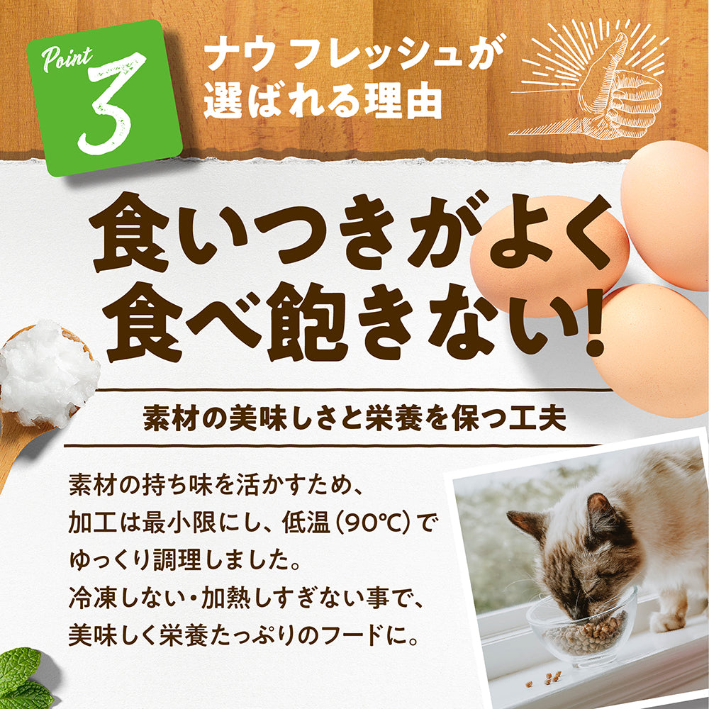 ナウフレッシュ グレインフリー キトン 子猫用 7.25kg (猫・キャット)[正規品] NOW FRESH