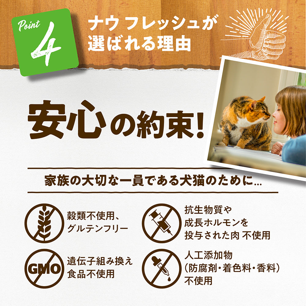 ナウフレッシュ グレインフリー キトン 子猫用 350g (猫・キャット)[正規品] NOW FRESH