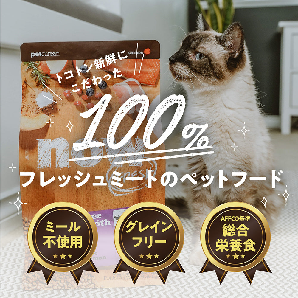 ナウフレッシュ グレインフリー キトン 子猫用 1.36kg (猫・キャット)[正規品] NOW FRESH