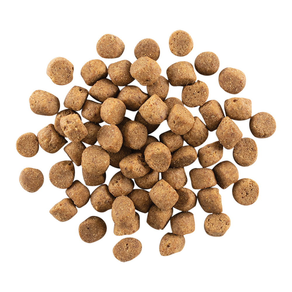 ナウフレッシュ グレインフリー アダルト 成犬用 1.59kg (犬・ドッグ)[正規品] NOW FRESH