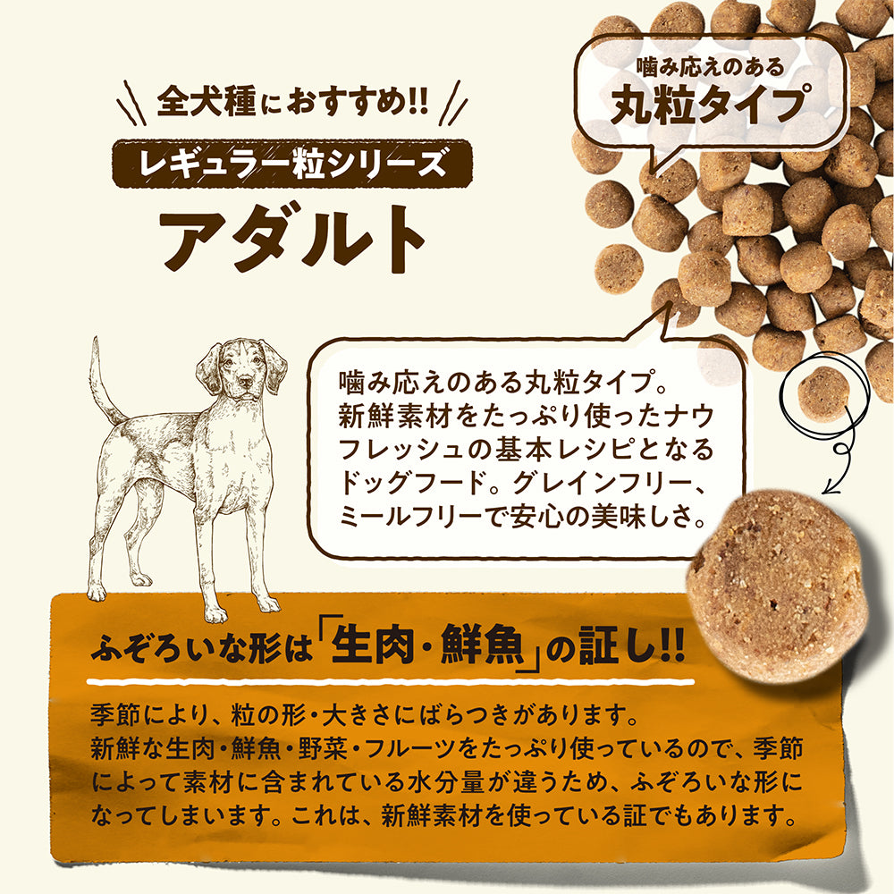 ナウフレッシュ グレインフリー アダルト 成犬用 1.59kg (犬・ドッグ)[正規品] NOW FRESH