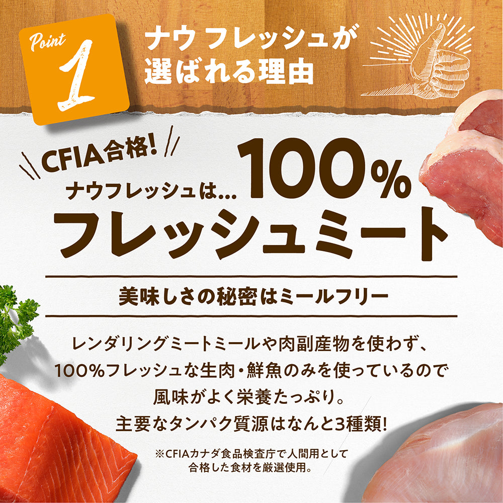 ナウフレッシュ グレインフリー アダルト 成犬用 2.72kg (犬・ドッグ)[正規品] NOW FRESH