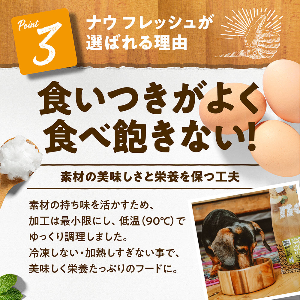 ナウフレッシュ グレインフリー アダルト 成犬用 5.44kg (犬・ドッグ)[正規品] NOW FRESH