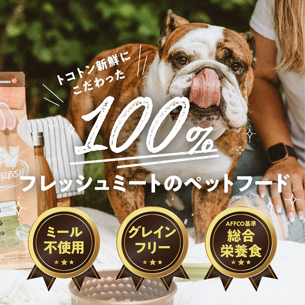 ナウフレッシュ グレインフリー アダルト 成犬用 2.72kg (犬・ドッグ)[正規品] NOW FRESH