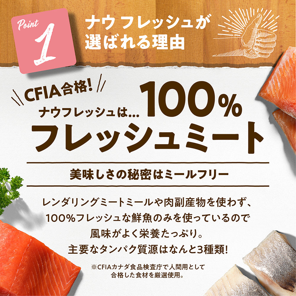 ナウフレッシュ グレインフリー フィッシュアダルト 成犬用 9.98kg (犬・ドッグ)[正規品] NOW FRESH