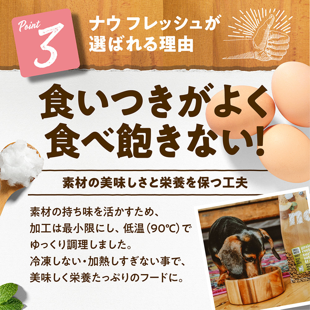 ナウフレッシュ グレインフリー フィッシュアダルト 成犬用 1.59kg (犬・ドッグ)[正規品] NOW FRESH