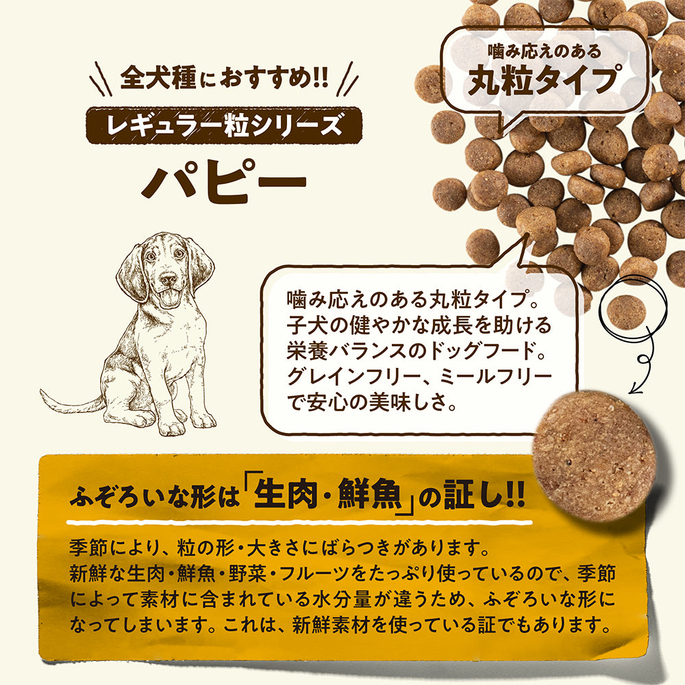 ナウフレッシュ グレインフリー パピー 子犬用 5.44kg (犬・ドッグ)[正規品] NOW FRESH