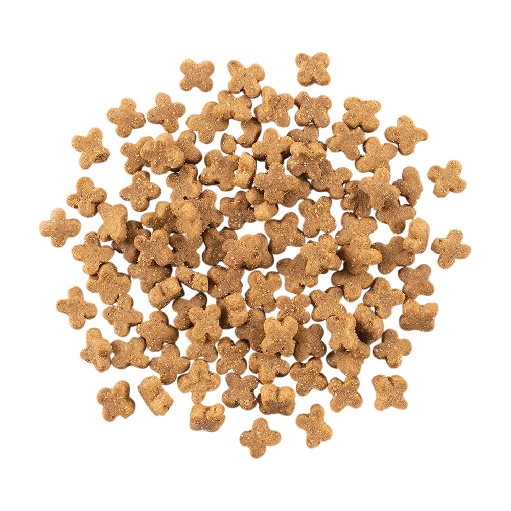 ナウフレッシュ グレインフリー スモールブリード フィッシュアダルト 小型犬用 成犬用 超小粒 350g (犬・ドッグ)[正規品] NOW FRESH