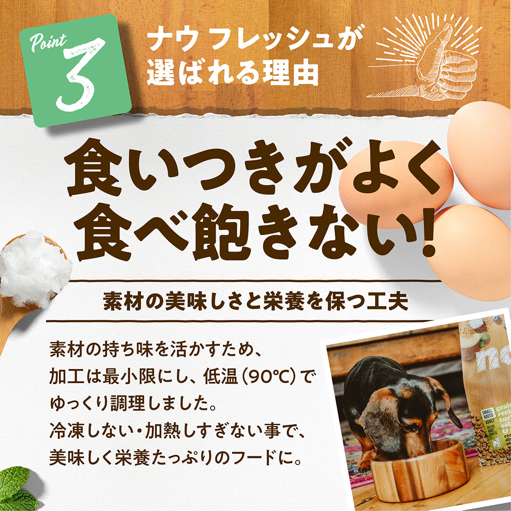ナウフレッシュ グレインフリー スモールブリード フィッシュアダルト 小型犬用 成犬用 超小粒 350g (犬・ドッグ)[正規品] NOW FRESH