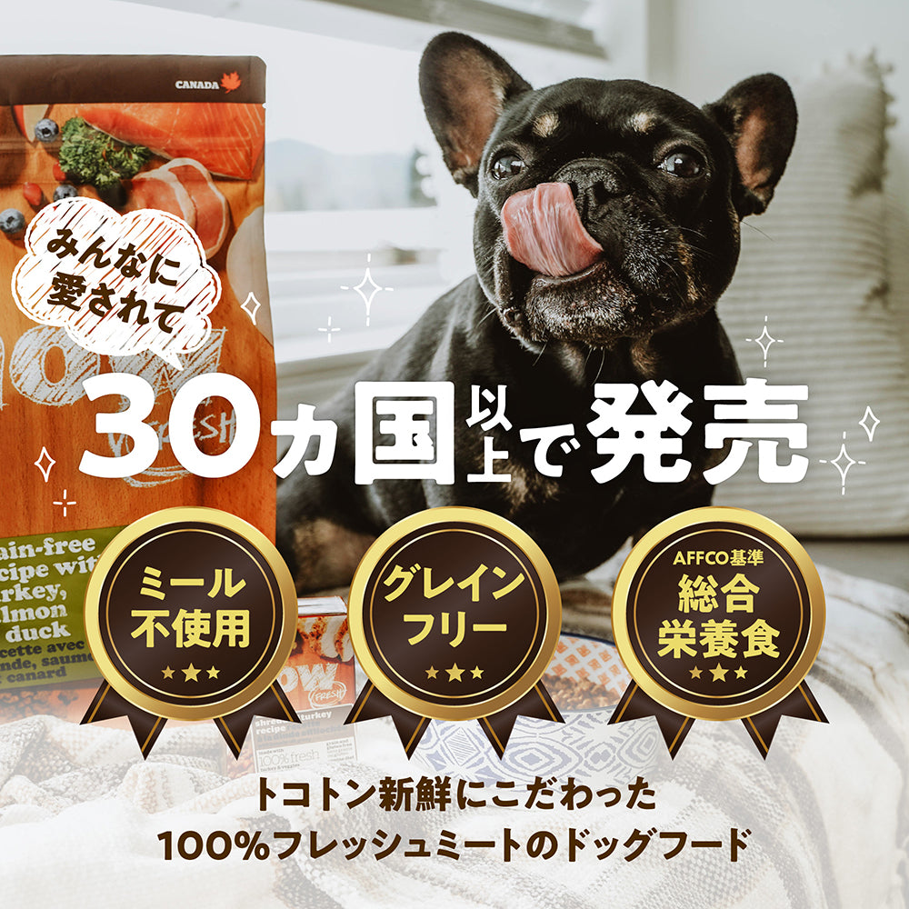 ナウフレッシュ グレインフリー スモールブリード フィッシュアダルト 小型犬用 成犬用 超小粒 350g (犬・ドッグ)[正規品] NOW FRESH