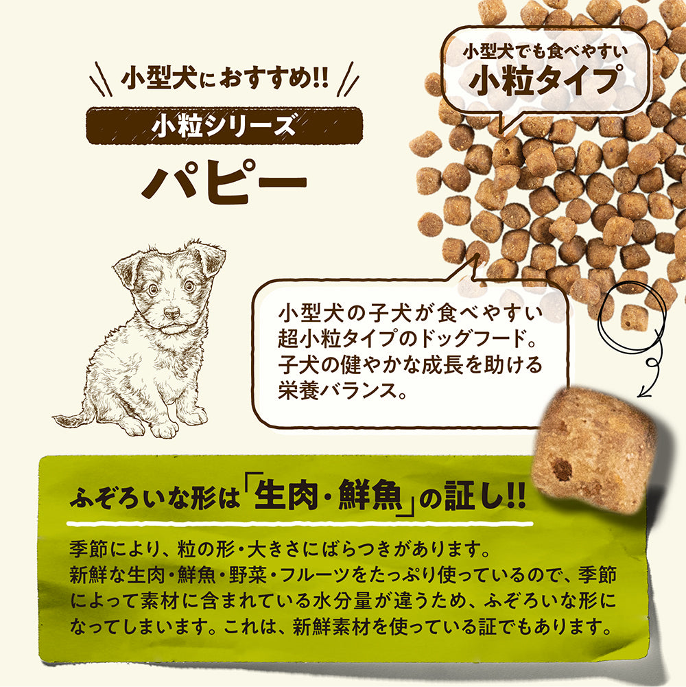 ナウフレッシュ グレインフリー スモールブリード パピー 小型犬用 子犬用 超小粒 800g (犬・ドッグ)[正規品] NOW FRESH