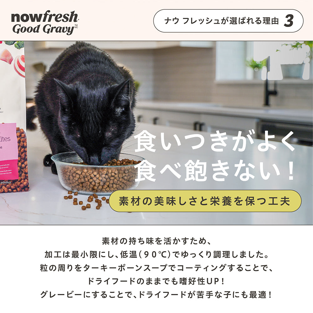 ナウフレッシュ グッドグレービー アダルトキャット サーモンレシピ グレインフリー 全猫種用 成猫用 高齢猫用 3.63kg (猫・キャット)[正規品] NOW FRESH