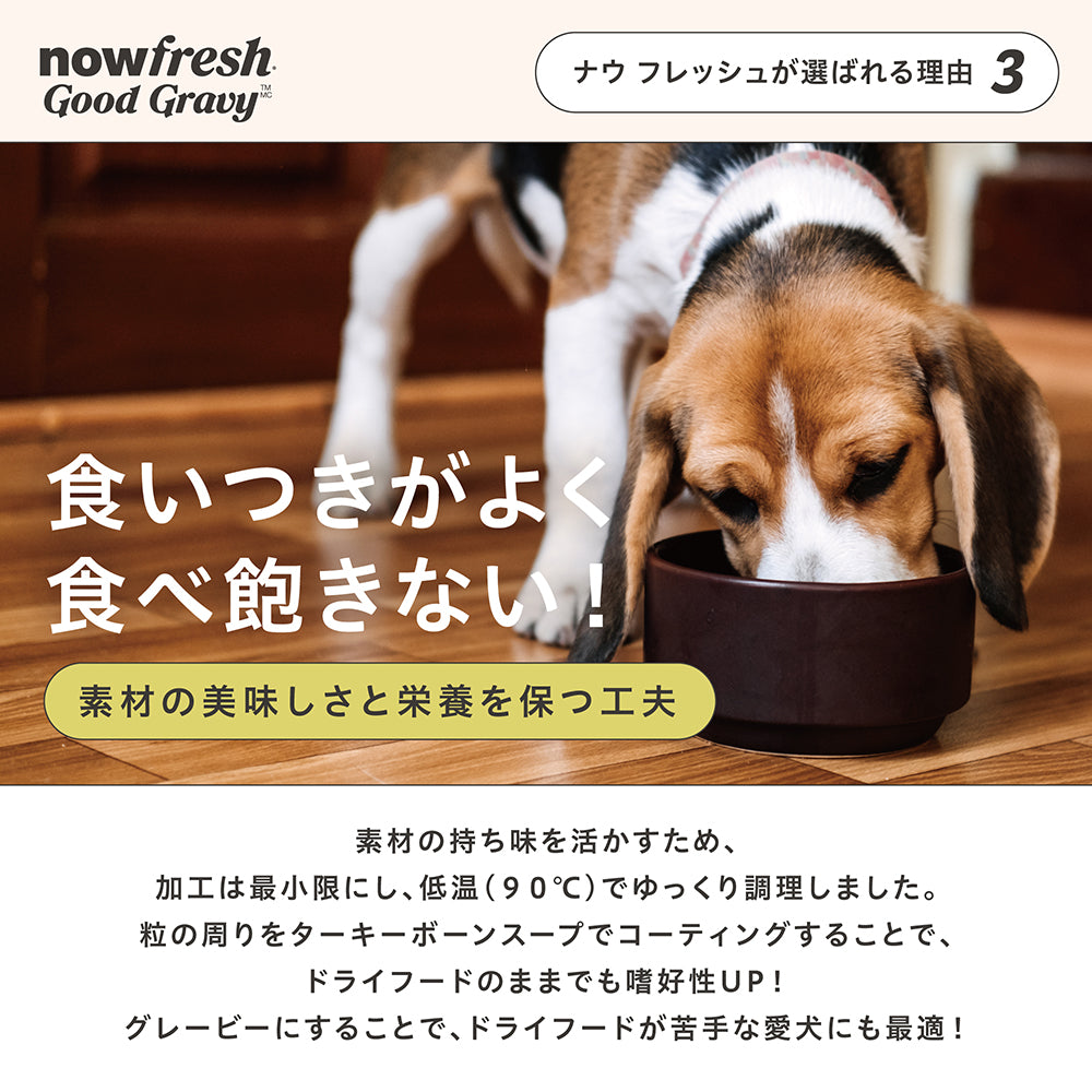 ナウフレッシュ グッドグレービー スモールブリード ゲージフリーチキンレシピ 小型犬用 成犬用 高齢犬用 超小粒 800g (犬・ドッグ)[正規品] NOW FRESH