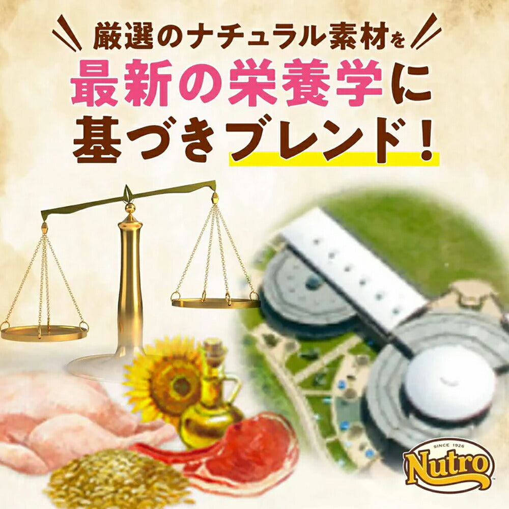 ニュートロ ナチュラルチョイス ミートシリーズ 室内猫用 キトン チキン 子猫用 400g (猫・キャット)[正規品]