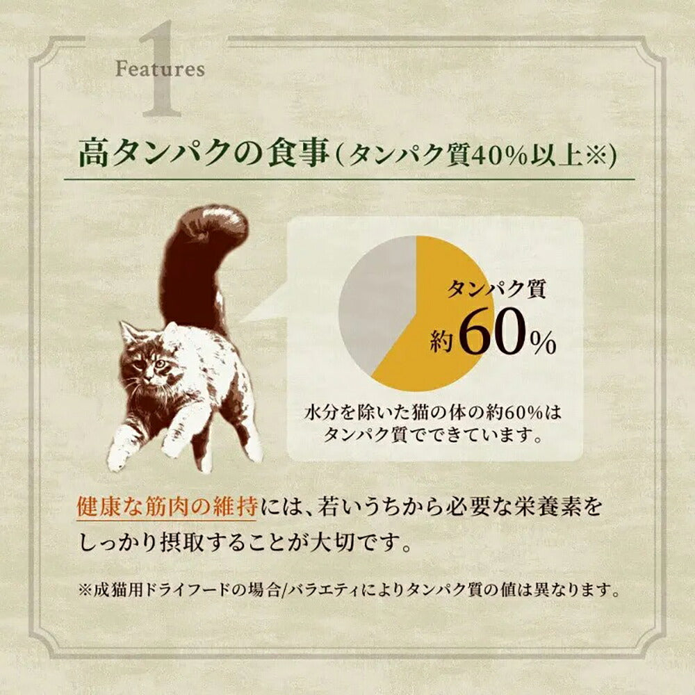 【400g×10袋】ニュートロ ワイルドレシピ エイジングケア チキン シニア猫用 (猫・キャット)[正規品]