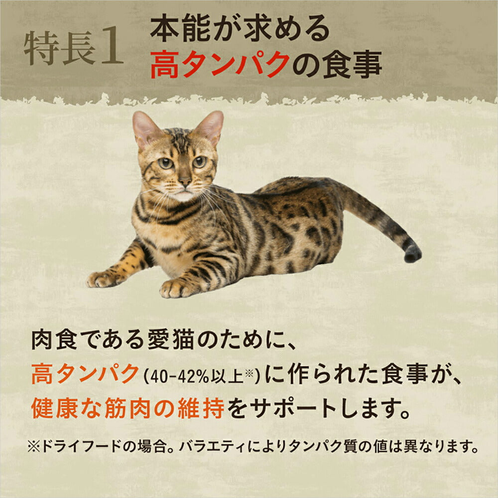 【1kg×10袋】ニュートロ ワイルドレシピ アダルト チキン 成猫用 (猫・キャット)[正規品]