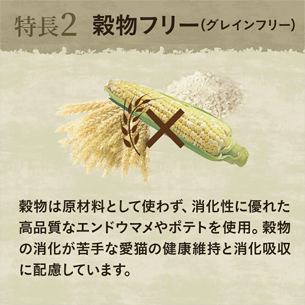 【400g×10袋】ニュートロ ワイルドレシピ エイジングケア チキン シニア猫用 (猫・キャット)[正規品]