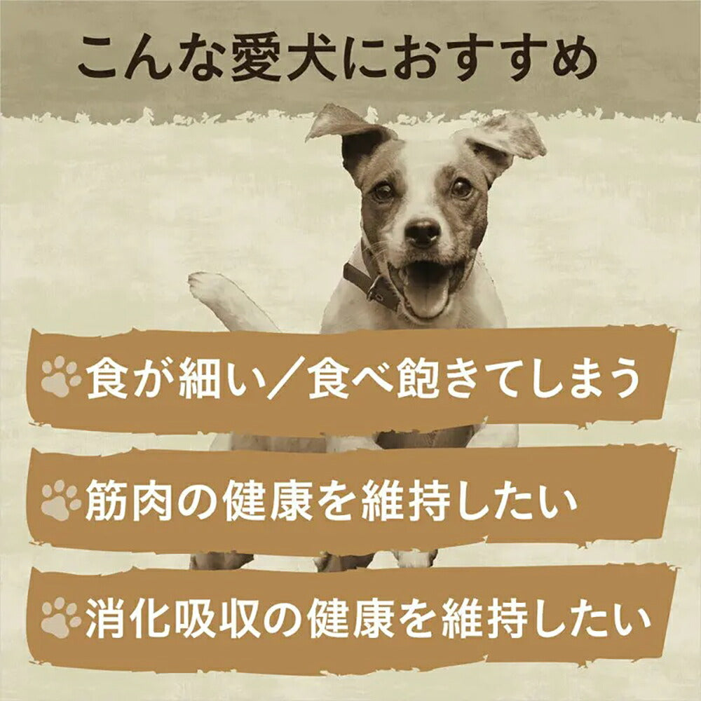 【2kg×6袋】ニュートロ ワイルドレシピ 超小型犬～小型犬 子犬用 ターキー (犬・ドッグ)[正規品]