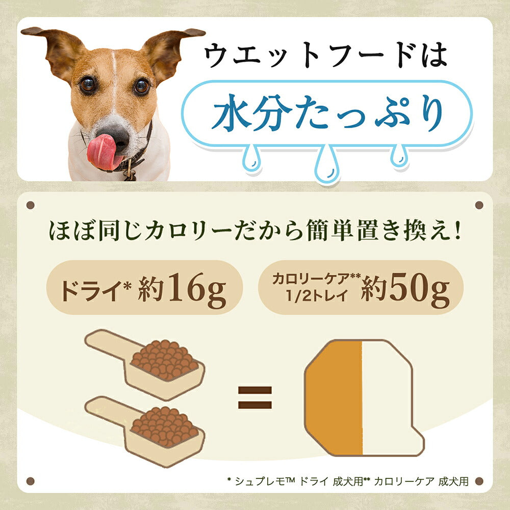 【100g×48個】ニュートロ シュプレモ チキン＆サーモン入り ポテト＆ディル 全犬種用 成犬用 ウェット トレイ (犬・ドッグ)[正規品]
