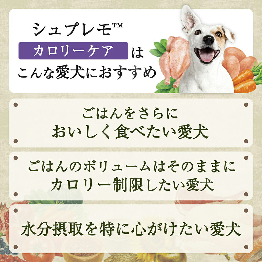 【100g×48個】ニュートロ シュプレモ 全犬種用 子犬用 ウェット トレイ (犬・ドッグ)[正規品]