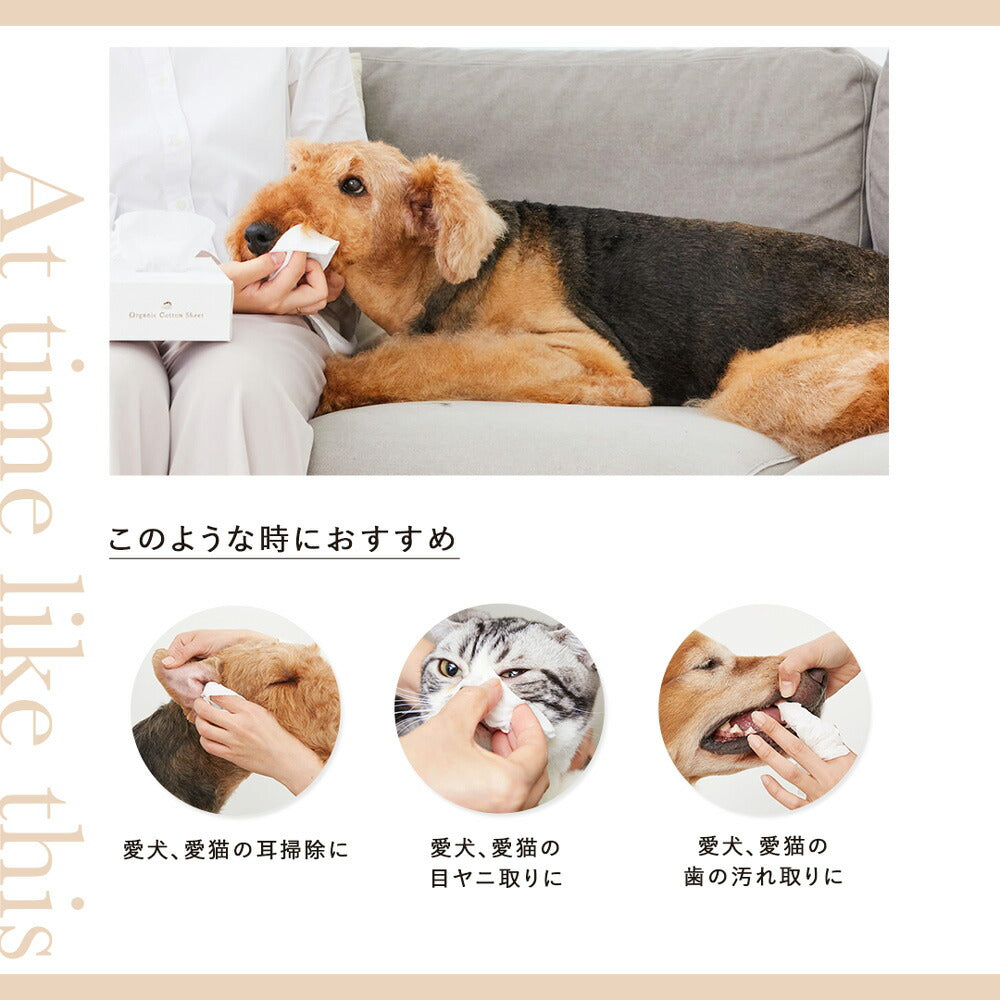 たかくら新産業 made of Organics オーガニック コットンシート 80枚 (犬猫兼用)