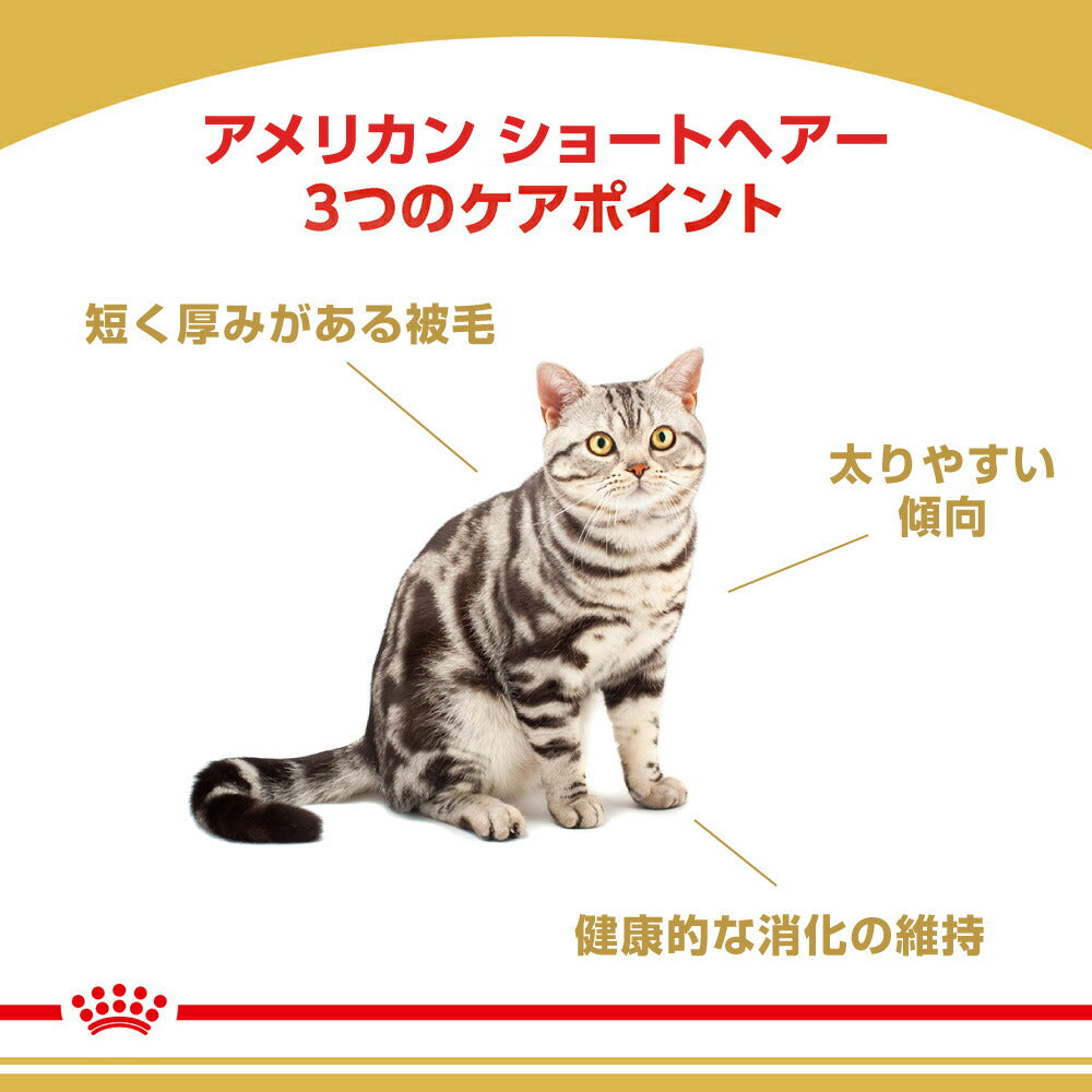 ロイヤルカナン FBN アメリカン ショートヘアー 成猫用 生後12ヵ月齢から12歳まで 2kg (猫・キャット)[正規品]
