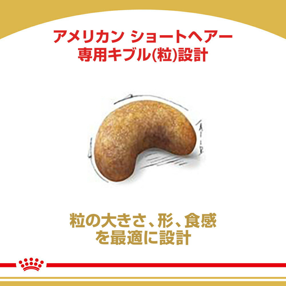 ロイヤルカナン FBN アメリカン ショートヘアー 成猫用 生後12ヵ月齢から12歳まで 400g (猫・キャット)[正規品]