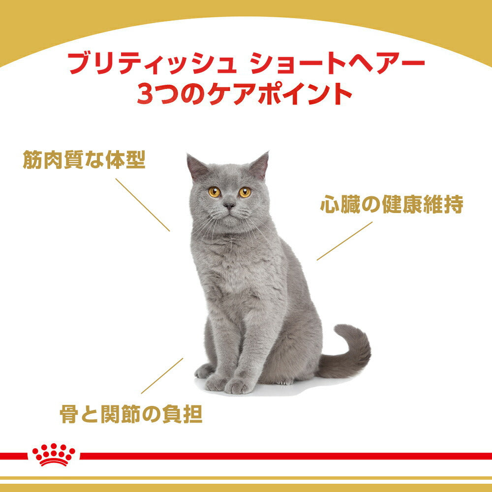 【400g×6袋】ロイヤルカナン FBN ブリティッシュ ショートヘアー 成猫用 生後12ヵ月齢から12歳まで (猫・キャット)[正規品]