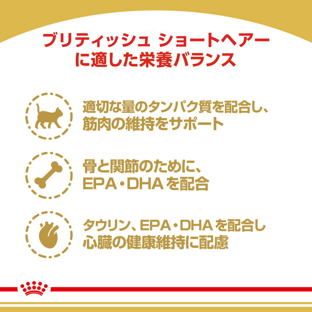 ロイヤルカナン FBN ブリティッシュ ショートヘアー 成猫用 生後12ヵ月齢から12歳まで 400g (猫・キャット)[正規品]
